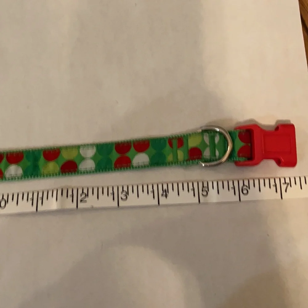 Dog Collar and Small Tie-Out